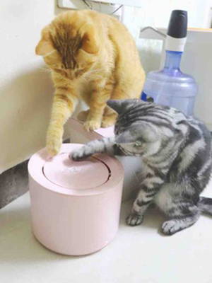 Petree Automatic Cat Water Fountain Dispenser