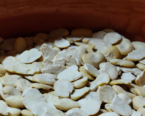 Food experiences Milan: Grandma Manual Pasta Maker’s lasagne