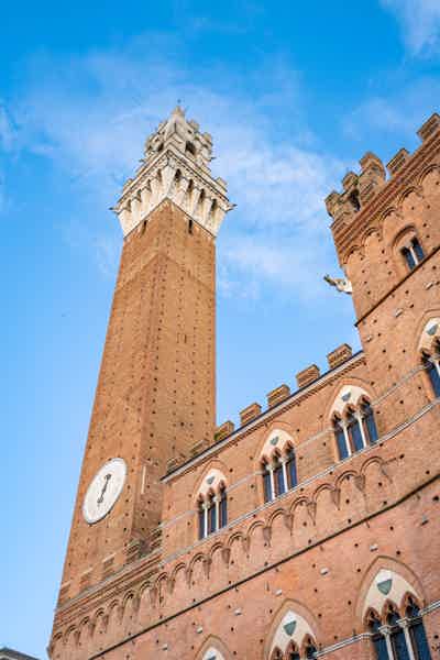From Florence: Tuscany Full-Day Trip with a Private Driver - photo 2