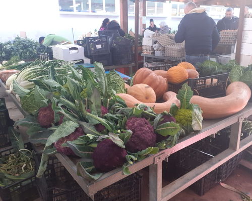 Food & Wine Tours Brindisi: Brindisi Market Tour & Cooking with Local Flavors