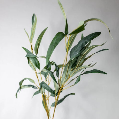Longleaf Eucalyptus - Realistic Artificial Flowers and Greenery (Bundle PROMOS) - Image 3