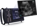 S1 veterinary ultrasound with clear images