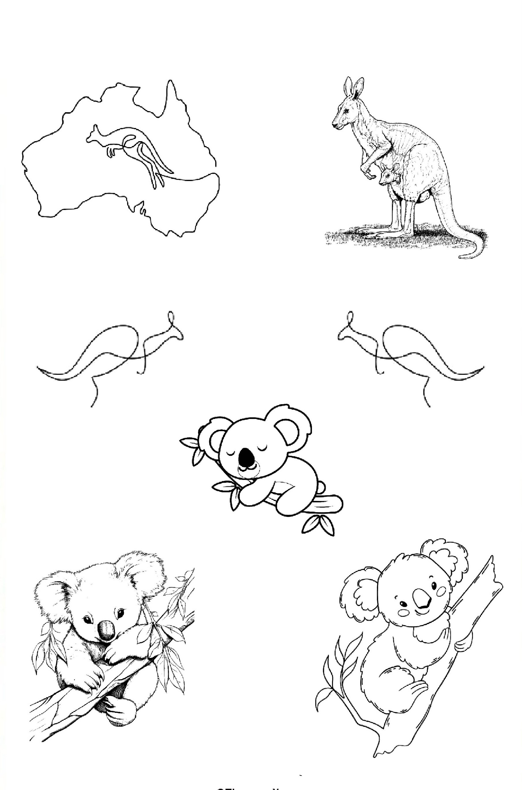 Dr Pickles - Store Image