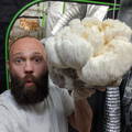 Man holding Lion's Mane Mushroom Grow Kit