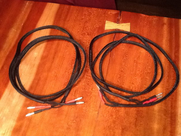 Duelund Coherent Audio speaker cable made from silver 2...