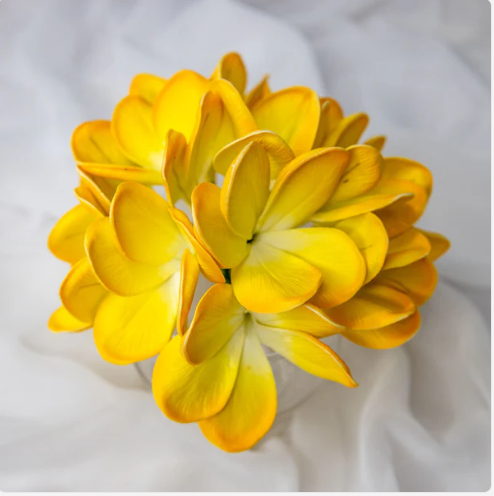 Tahitian Gold Frangipani Flowerhead (6 Pack) -Realistic Artificial Flowers - Image 6
