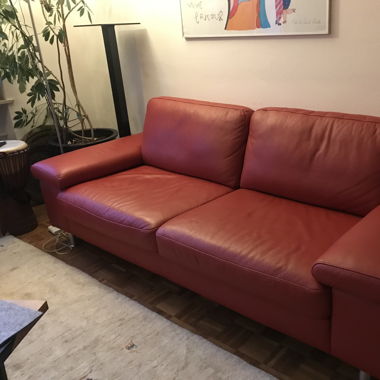 Rotes Ledersofa