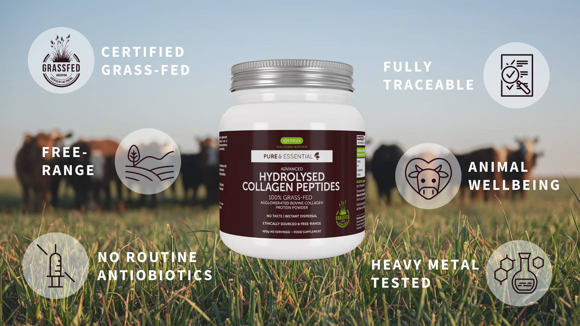 Igennus bovine collagen is grass fed and free range