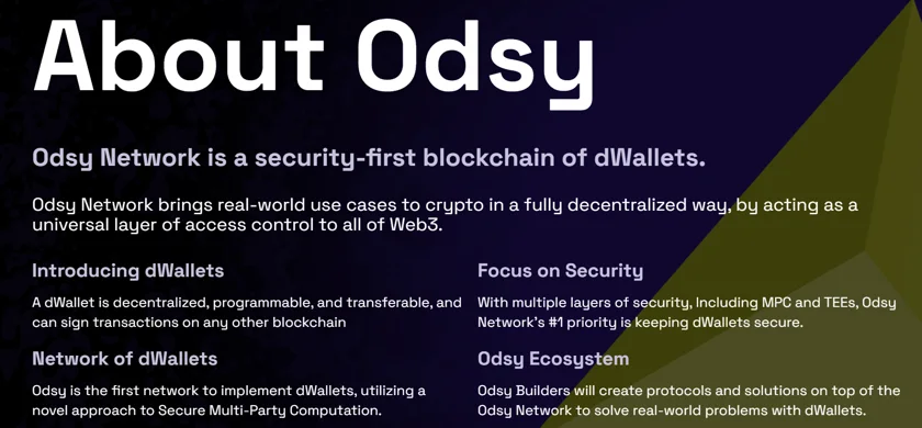 About Odsy Network