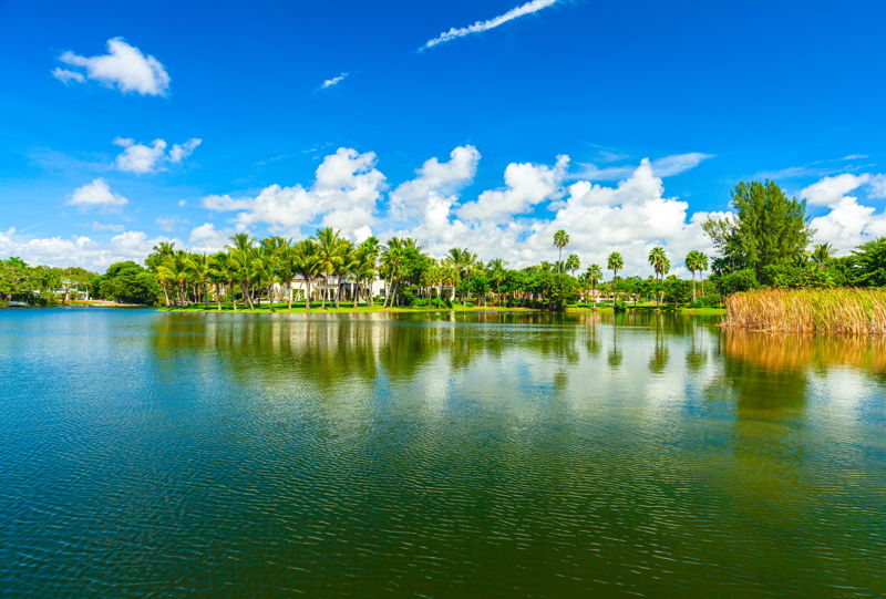 Properties 待售 in Miami Lakes