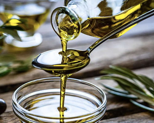 Cooking classes Bologna: Oil tasting and visit to an olive grove