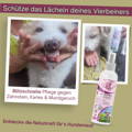 Zahnstein-Spray: Schütze das Lächeln deines Vierbeiners