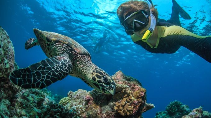 Snorkelling on a Maldives tour