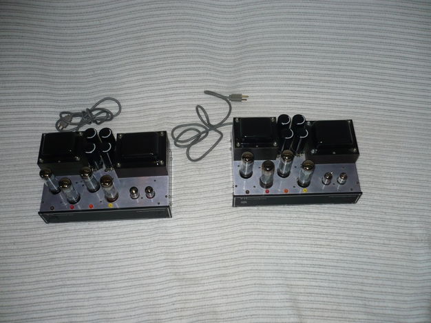 VTL Compact 100 Mono pair.