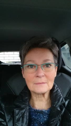 Hilde Delien