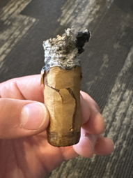 Cigar Session Photo