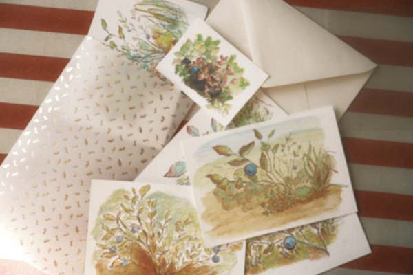 (Oulet) Hand Painted postcards bundle