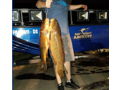 Bow Fishing Trip for 4 in Pennsylvania