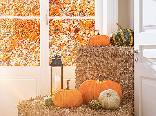  Iseo
- L'automne approche ! Grâce à nos conseils, transformez vos idées pour terrasse en une déco haute en couleurs.