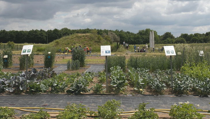 wissenschaftsscheune das feld