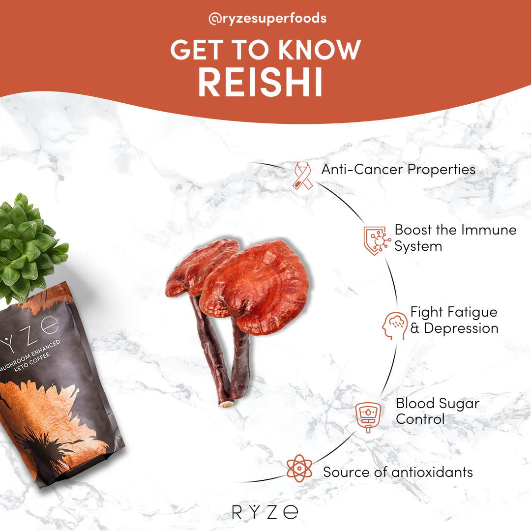 Reishi benefits infographic