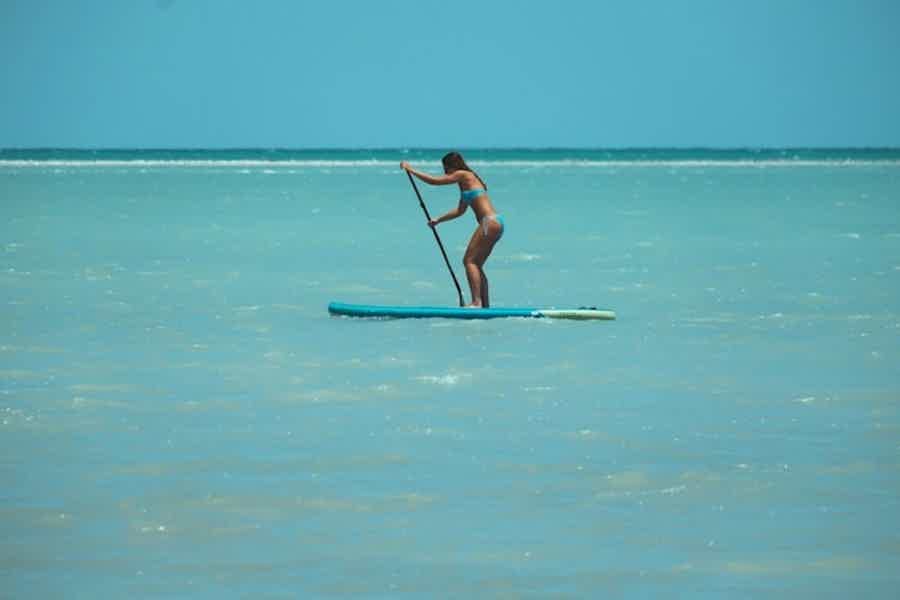 Dubai Attraction: Stand Up PaddleBoard Dubai - photo 4