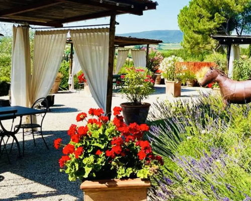 Food experiences San Gimignano: Kitchen garden with music