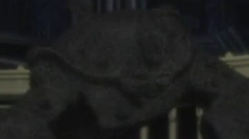 Main Content Image