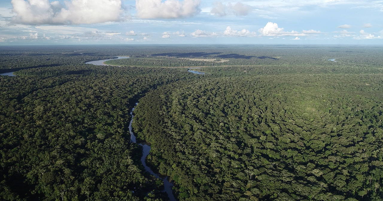 Amazon Rainforest - the birthplace of cacao