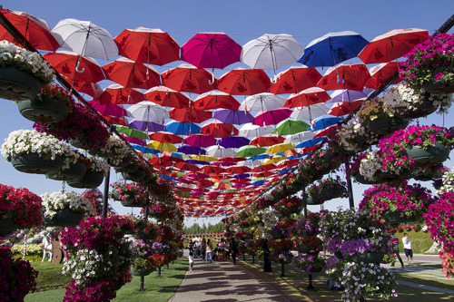Парк Цветов + Глобальная Ярмарка Global Village из Шарджи