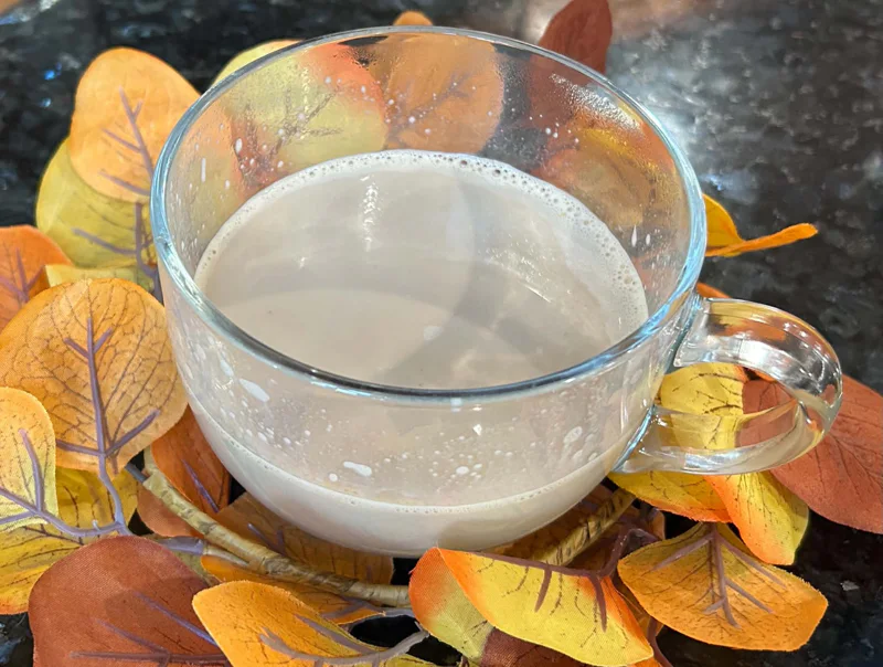 A pumpkin latte with fall leaves around the mug