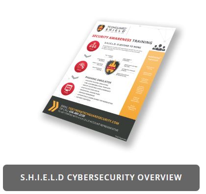 TechGuard Security product / service