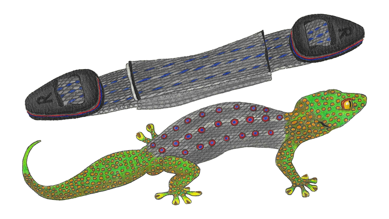 Gecko Hank, Short detail