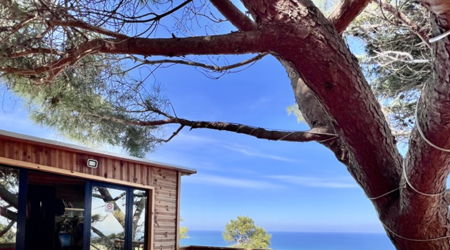Pine Homestay - Rafraf