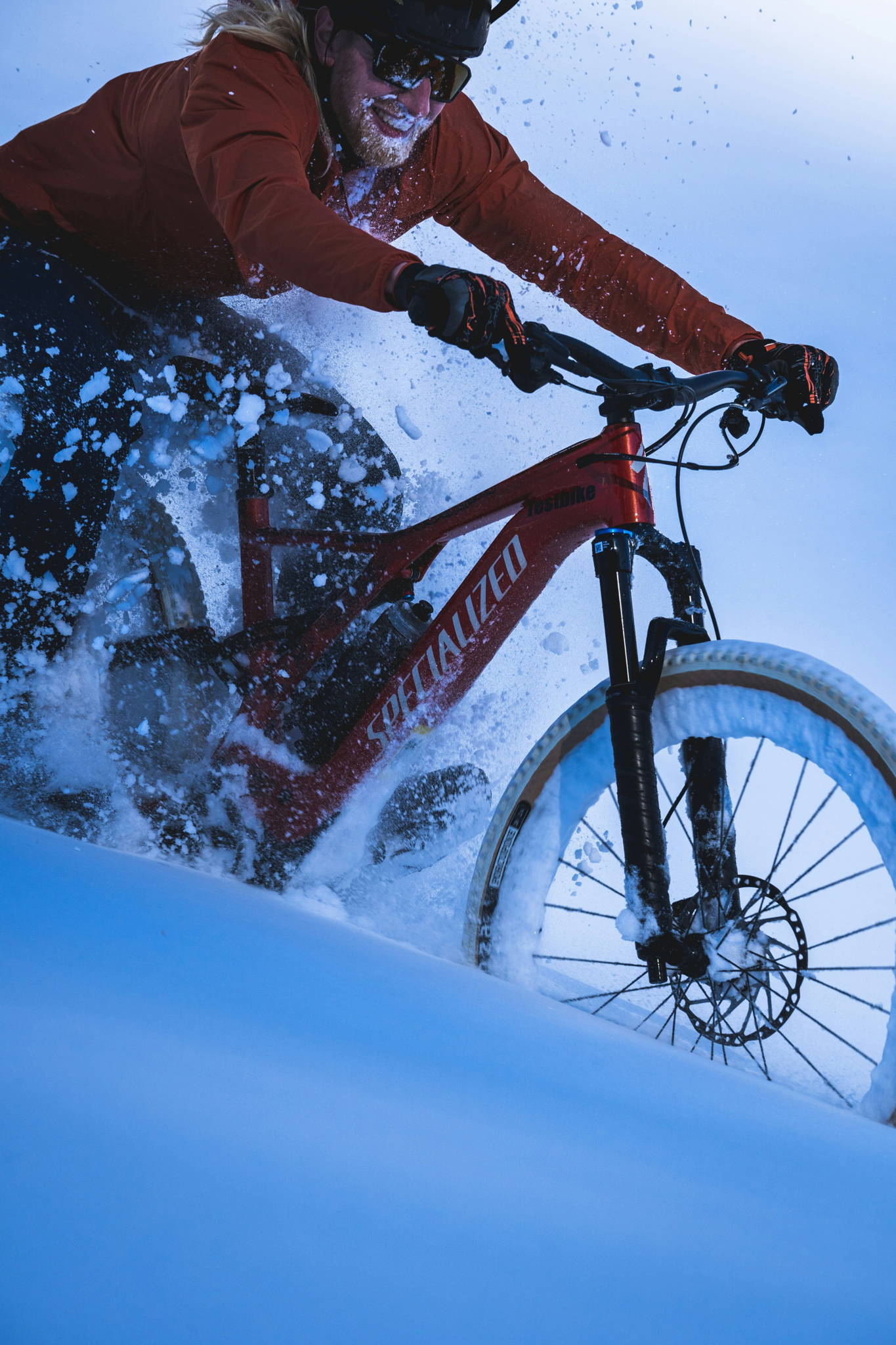 mountain bike elettrica