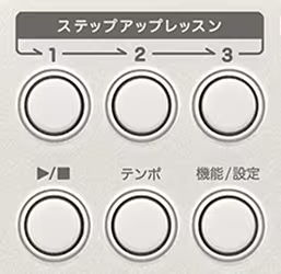 ステップアップレッスン