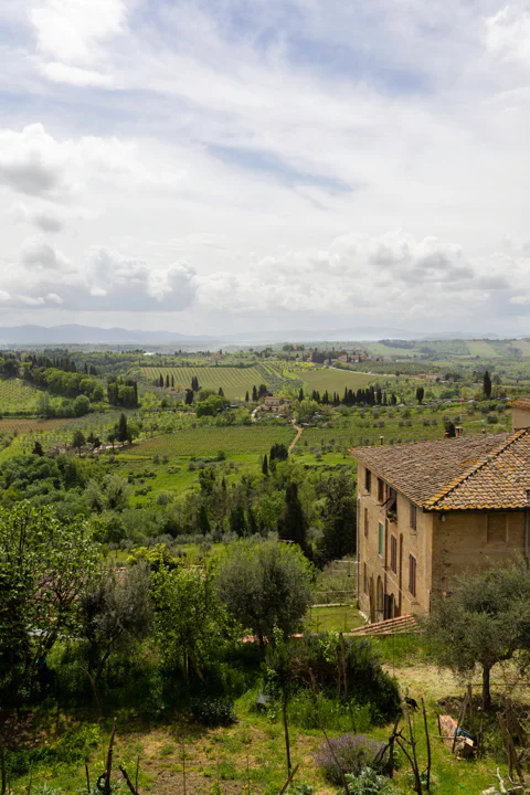 San Gimignano & Volterra Full-Day Trip w/ Wine & Lunch
