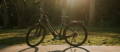 Trek Allant+ electric city bike near grass