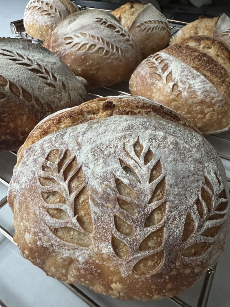 Strictly Sourdough — photo from hotplate.com