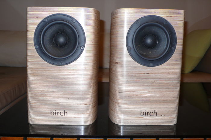 Birch Acoustics Robin high efficiency single-driver mon...