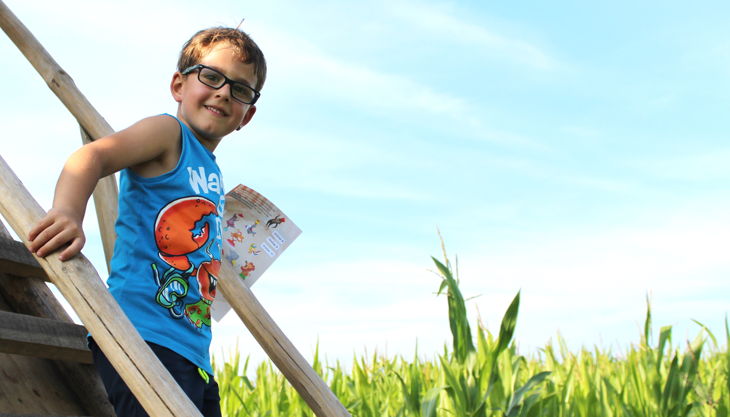 maislabyrinth in klaistow