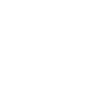 Tropical Springs Realty Logo