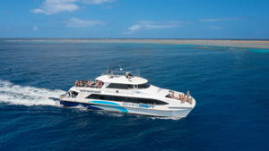 https://www.prodive.com.au/Great+Barrier+Reef+-+Cairns/Day+trips/Silverswift++Outer+Reef+Day+Trip+for+Snokellors+-+Great+Barrier+Reef+-+Cairns/1750