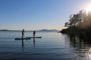 A pair of stand-up paddle boarders on the water.