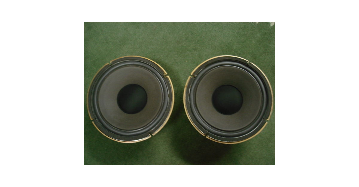TANNOY 12