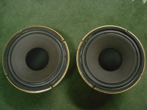 TANNOY 12