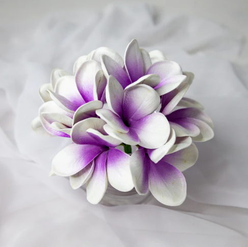Picasso Frangipani Flowerhead ( 6 Pack ) - Realistic Artificial Flowers - Image 3