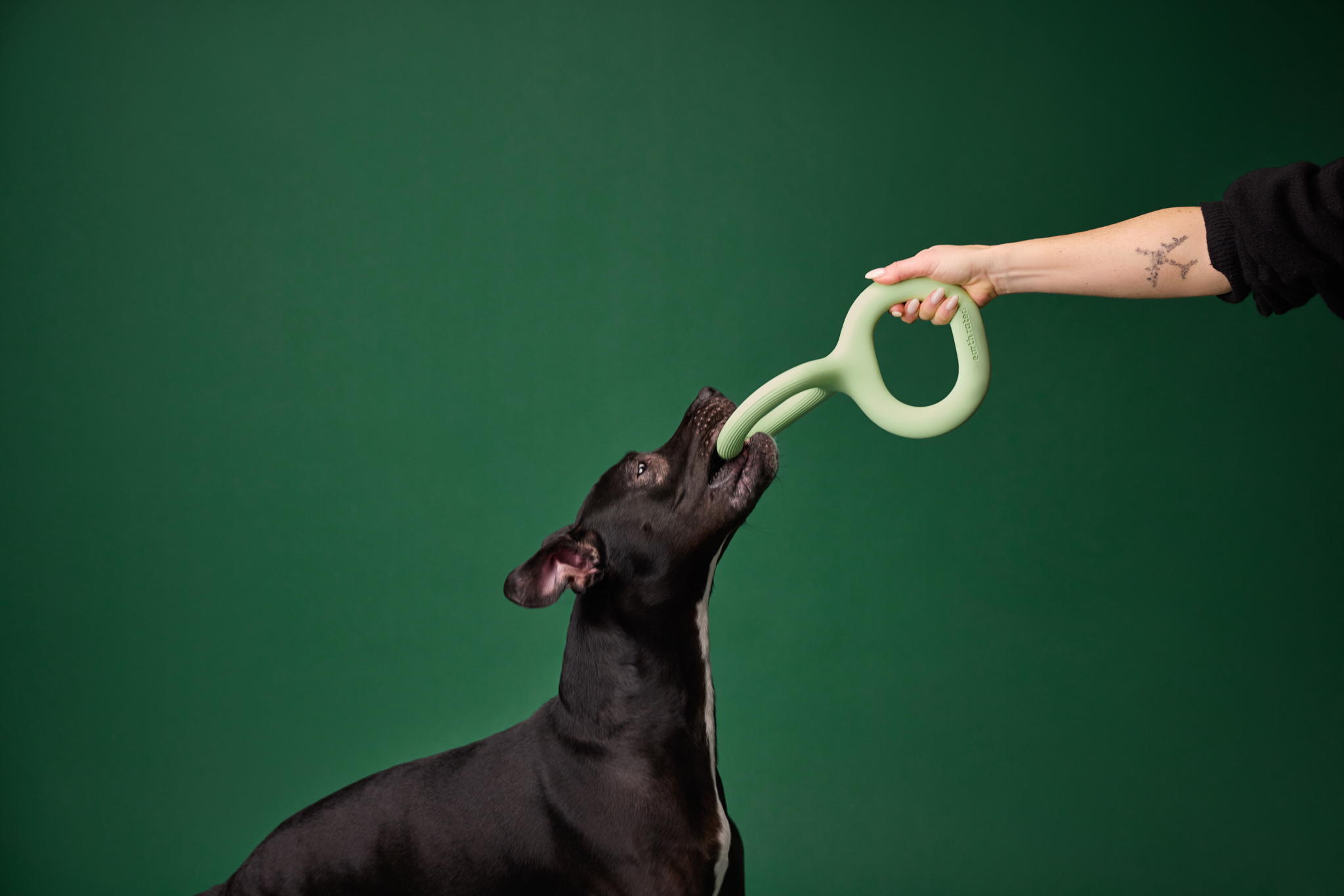 Earth Rated Makes Dog Ownership Simpler  Dieline - Design, Branding &  Packaging Inspiration