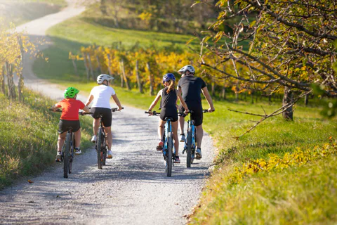 Selfguided E-Bike Tour to Szentendre