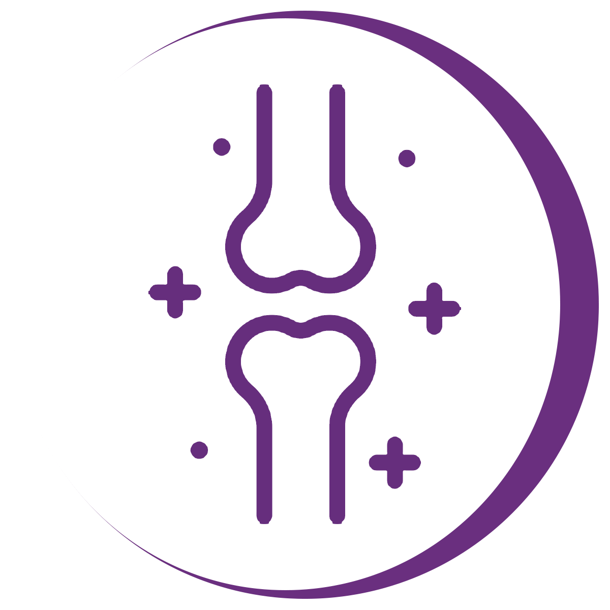 a bone symbolizing increase in calcium and magnesium as a benefit of the best probiotics supplements singapore